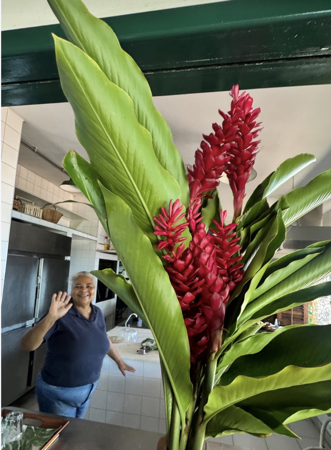 Chef Ivan na cozinha